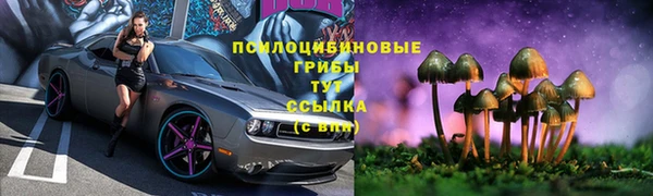 ПСИЛОЦИБИНОВЫЕ ГРИБЫ Абинск