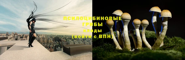 ПСИЛОЦИБИНОВЫЕ ГРИБЫ Абинск
