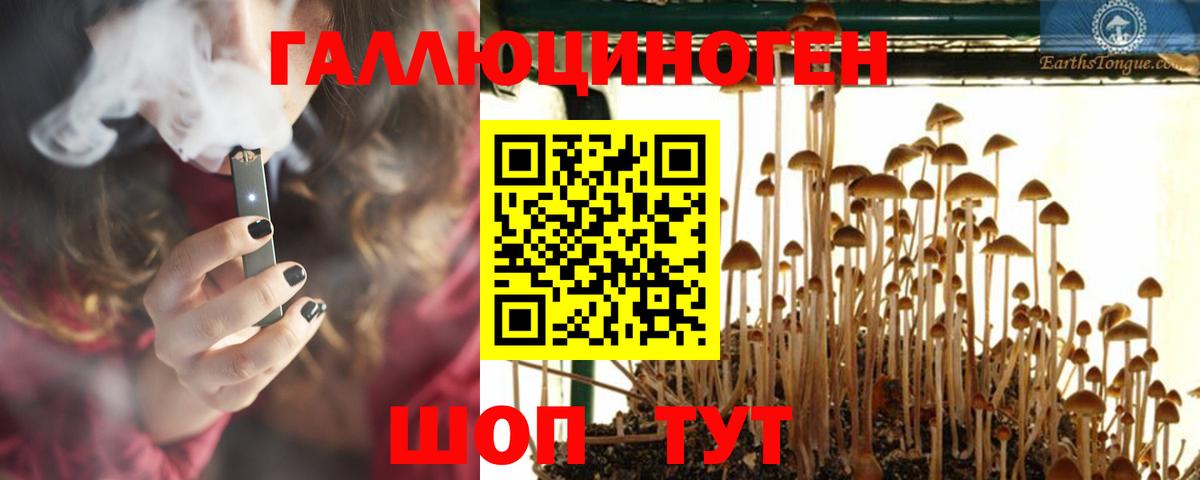 наркотики  Вход с VPN  Белая Калитва  Псилоцибиновые грибы Psilocybe 